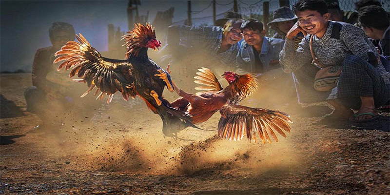 king88 vina chơi bắn cá đổi thưởng