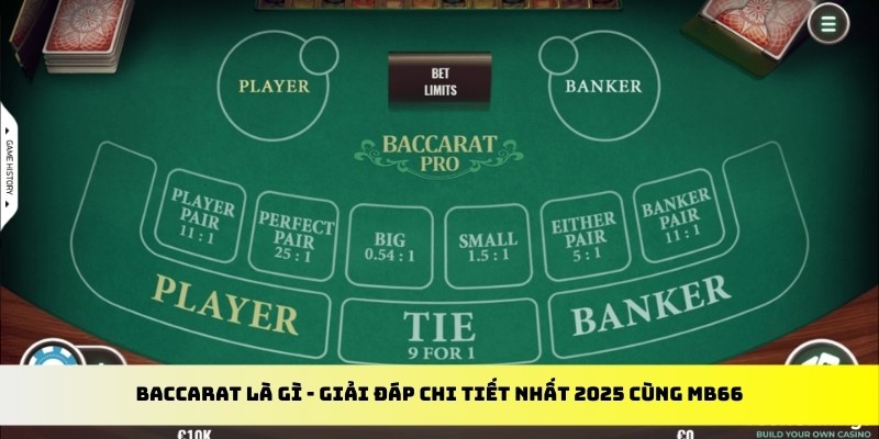 king88 vina gà chọi cu cần