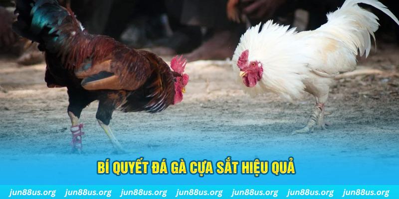 king88 vina xin 1 slot là gì