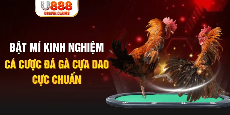 king88 vina tỷ lệ cá cược châu á là gì