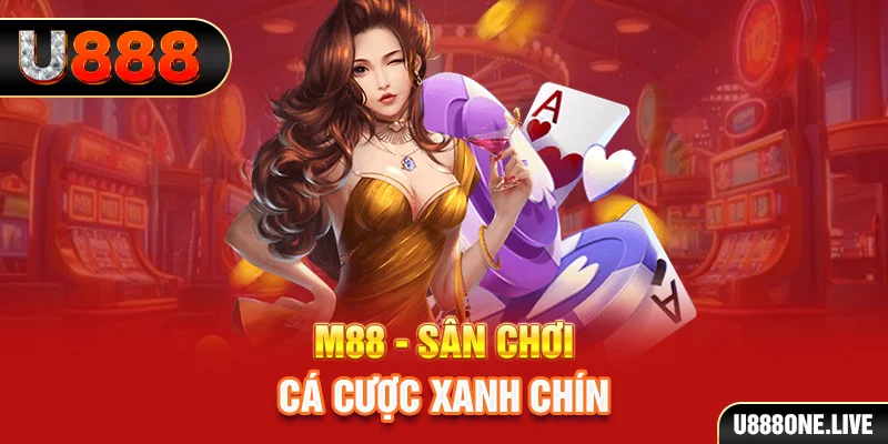 king88 vina xổ số miền nam hàng tuần