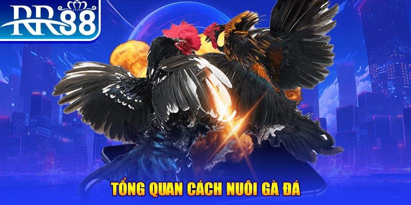 king88 vina VA Điện Tử