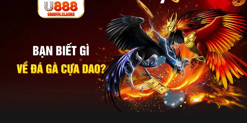 nổ hủ là gì