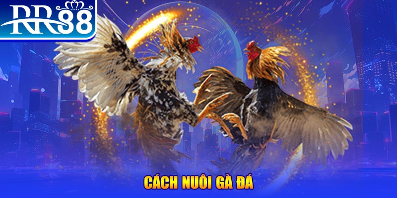 king88 vina xổ số an giang
