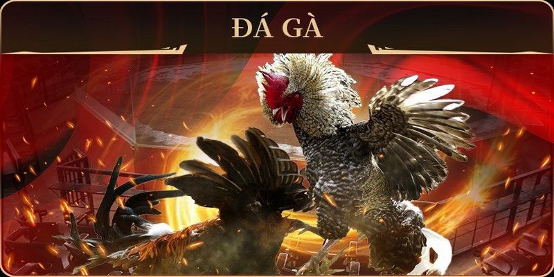 king88 vina xổ số miền nam thứ hai