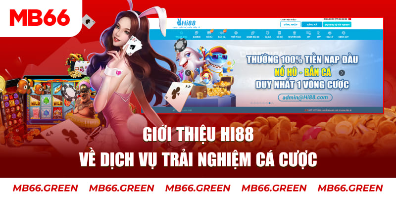 king88 vina ga choi hoa phong