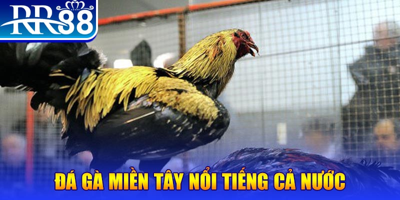 king88 vina JILI Game Bài 3d