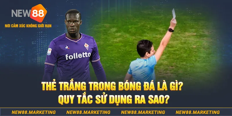 king88 vina gà chọi mộc hóa