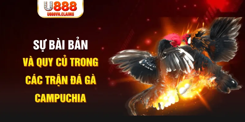 king88 vina YGR Điện Tử