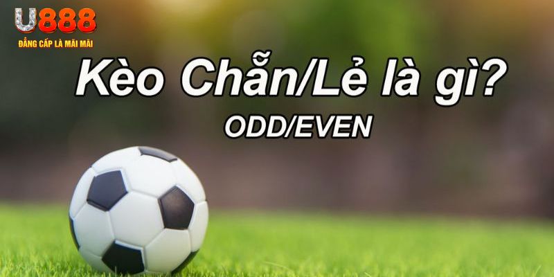 king88 vina đăng nhập poker hôm nay