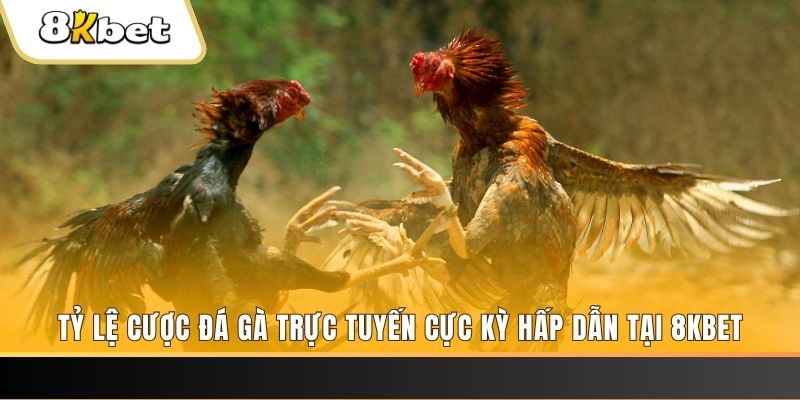 king88 vina xổ số trực tiếp miền bắc