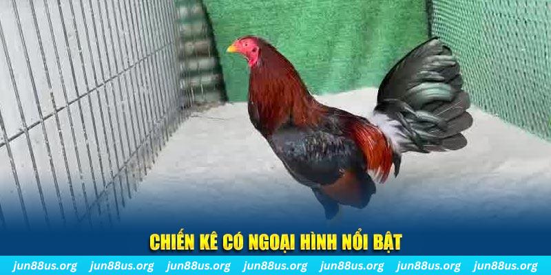 king88 vina chạy quảng cáo cho game bài bị phạt như thế nào